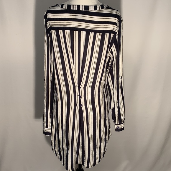 Papllion Size M - Picture 6 of 11